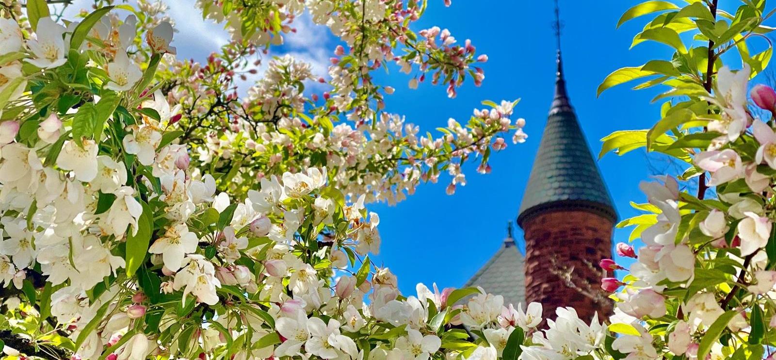 PCSpring2020
